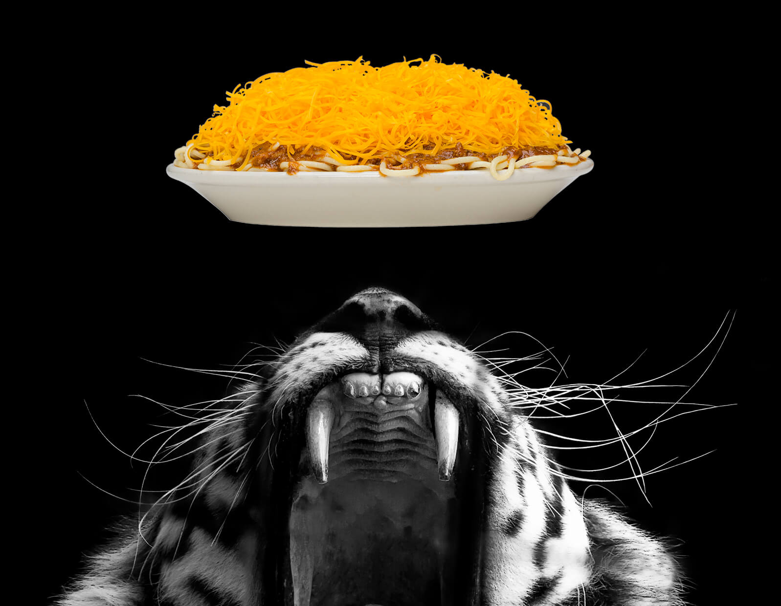 Who Dey