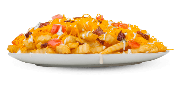 Bacon Cheddar Ranch Fries